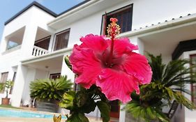 Helderberg Guesthouse